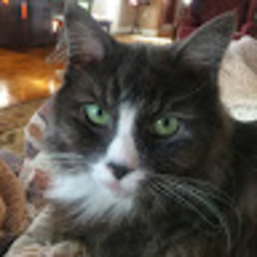 Meet your Posher, Robin